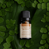 Óleo Essencial Cravo Biosex - 10 ml