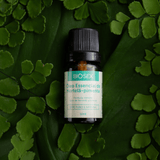 BS012 Óleo Essencial Hortelã Pimenta Biosex - 10 ml