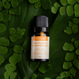 BS013 Óleo Essencial Laranja Doce Biosex - 10 ml