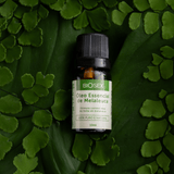 BS014 - Óleo Essencial Melaleuca Biosex - 10 ml