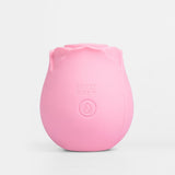 IA439 - Estimulador de Clitóris Recarregável Sweet Vibe Flô